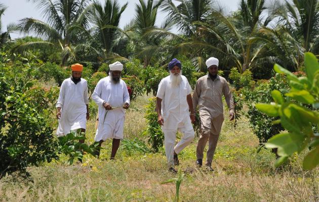 File:Sikh farmers in Tamil Nadu 1.jpg