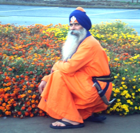 File:Guru's flower-m.jpg