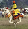 Nihang on horse sml.jpg