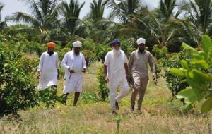 Sikh farmers in Tamil Nadu 1.jpg
