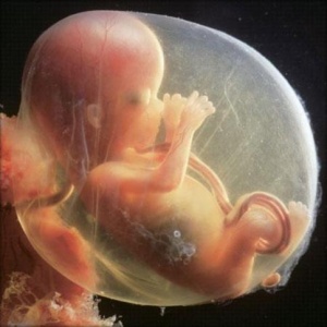Hemkunt Womb Mother.jpg