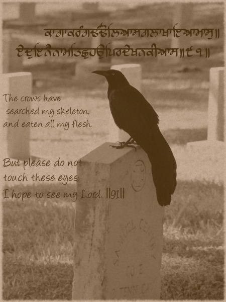File:Crows.jpg