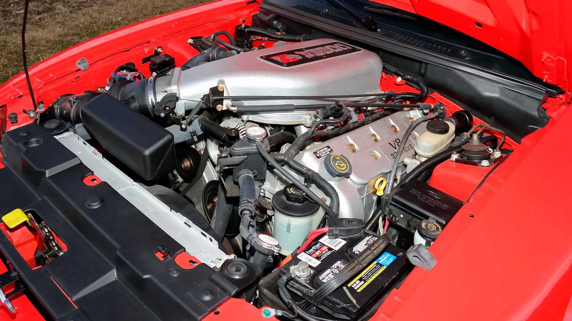 Ford Mustang SVT Cobra R (2000) Engine