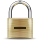 Padlock-dash.svg.png