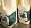 Milk bottles sml.jpg