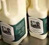 File:Milk bottles sml.jpg