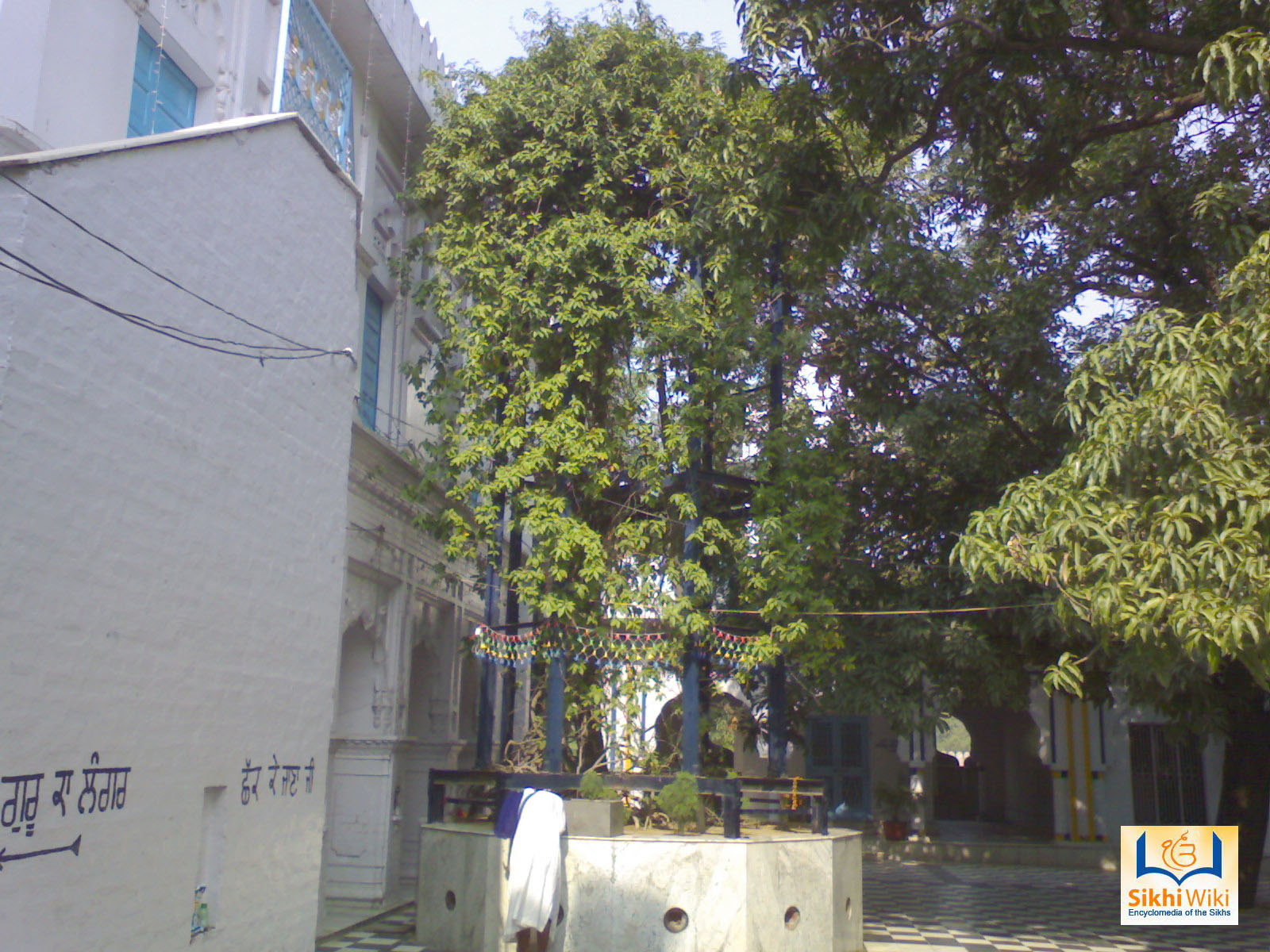 Hv6.jpg