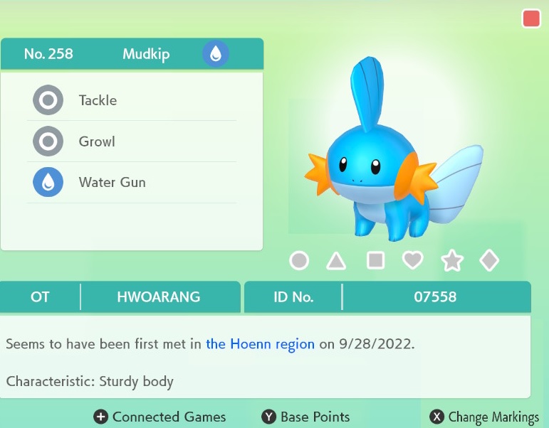 258 Mudkip