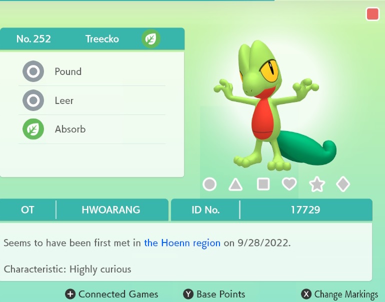 252 Treecko