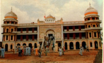 Sacha Sauda