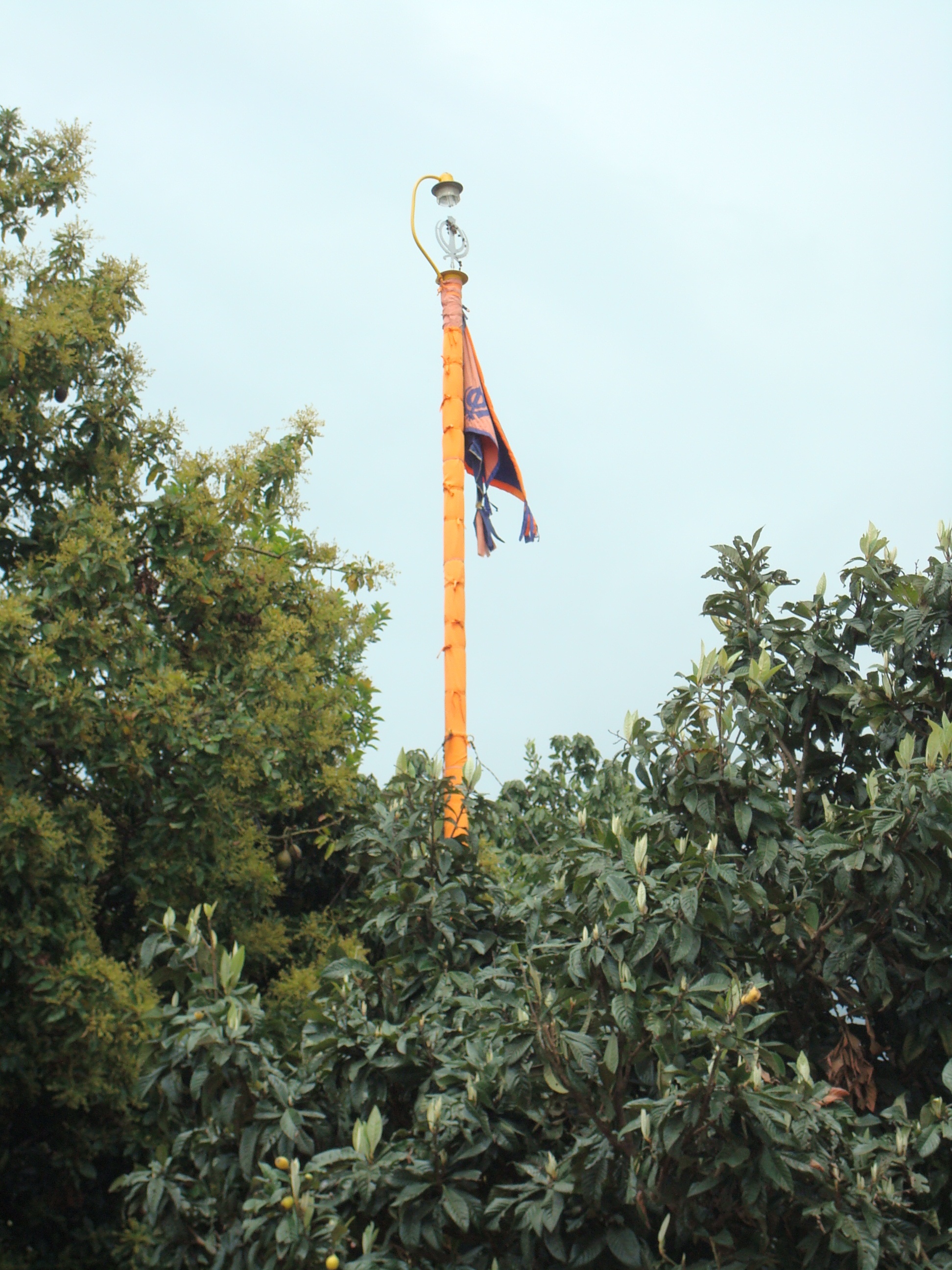 Nishan Sahib rising thru the trees.