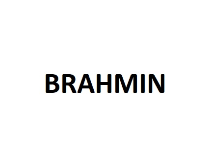 File:Brahmin 1.jpg