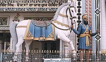 MS 8.jpg