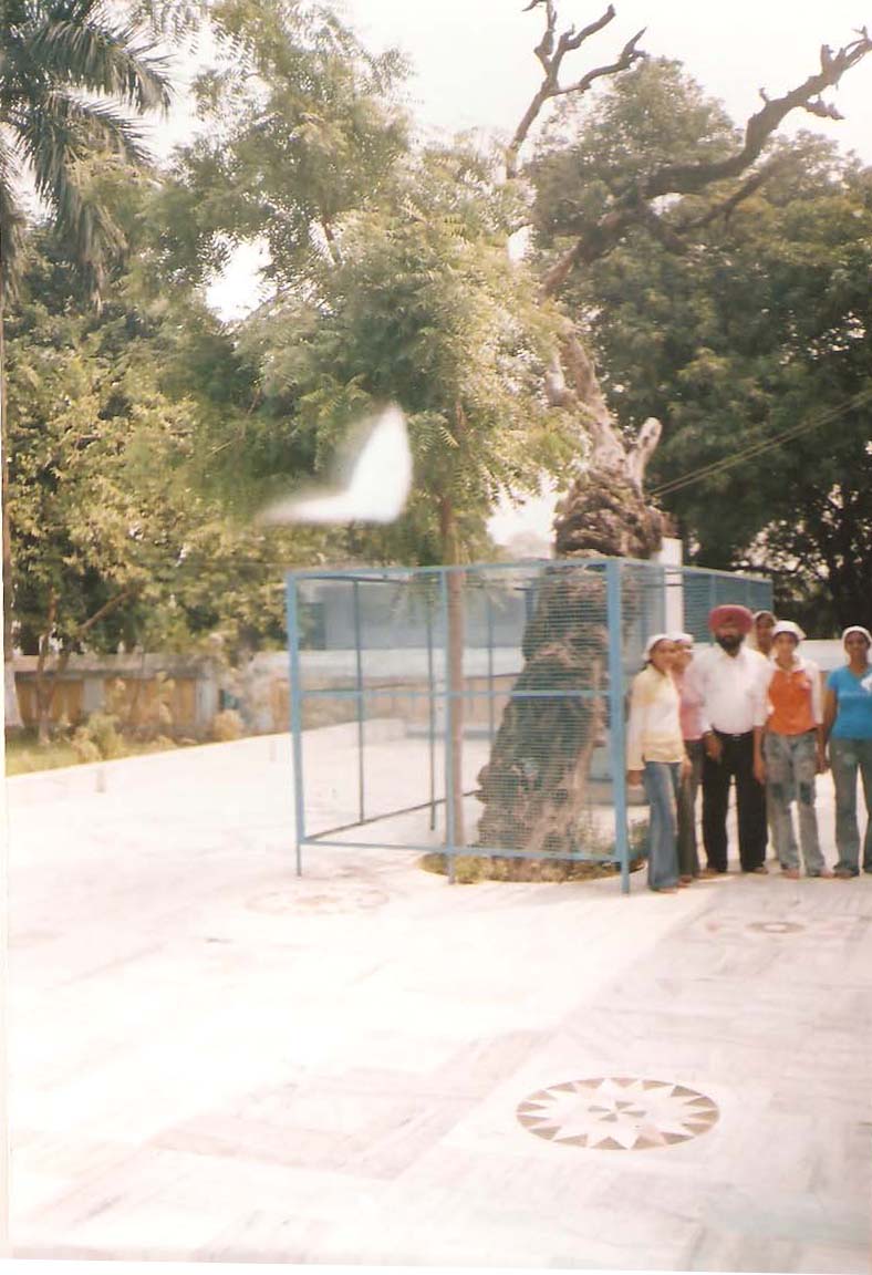 Old Tree Gurdwara Guru Ka Bagh