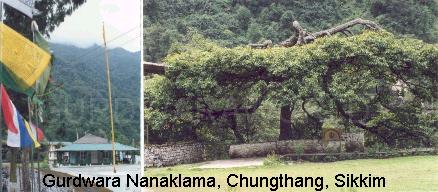 Nanaklama.JPG