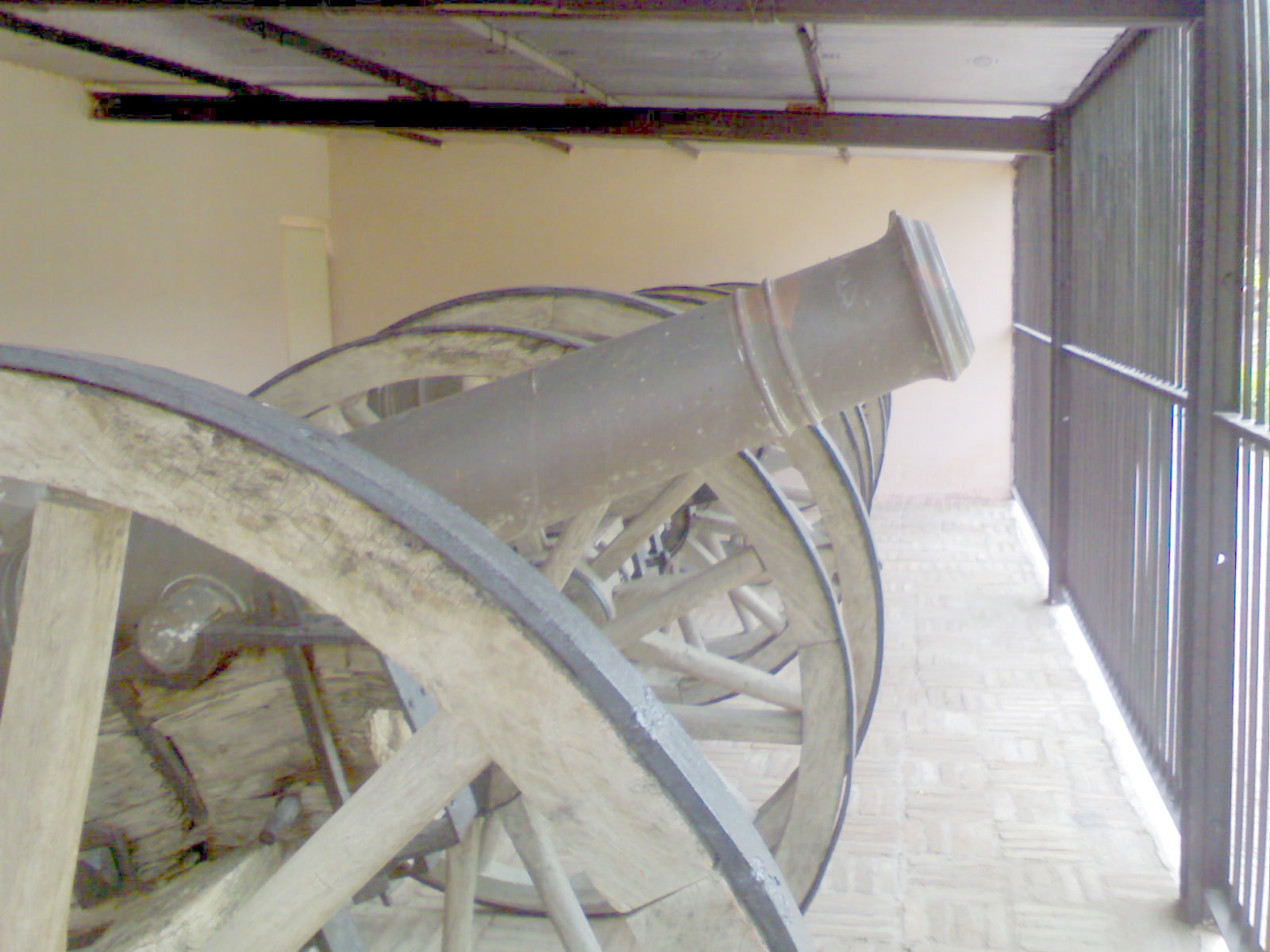 Kila top.JPG