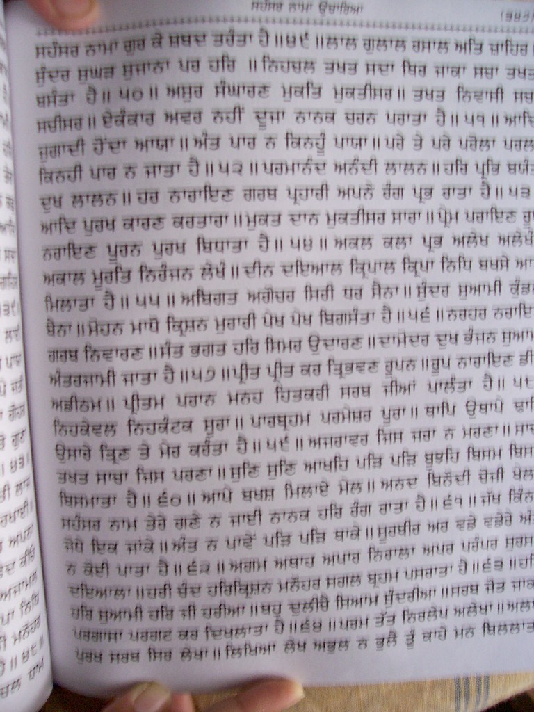 Sahnskarnama (5).jpg