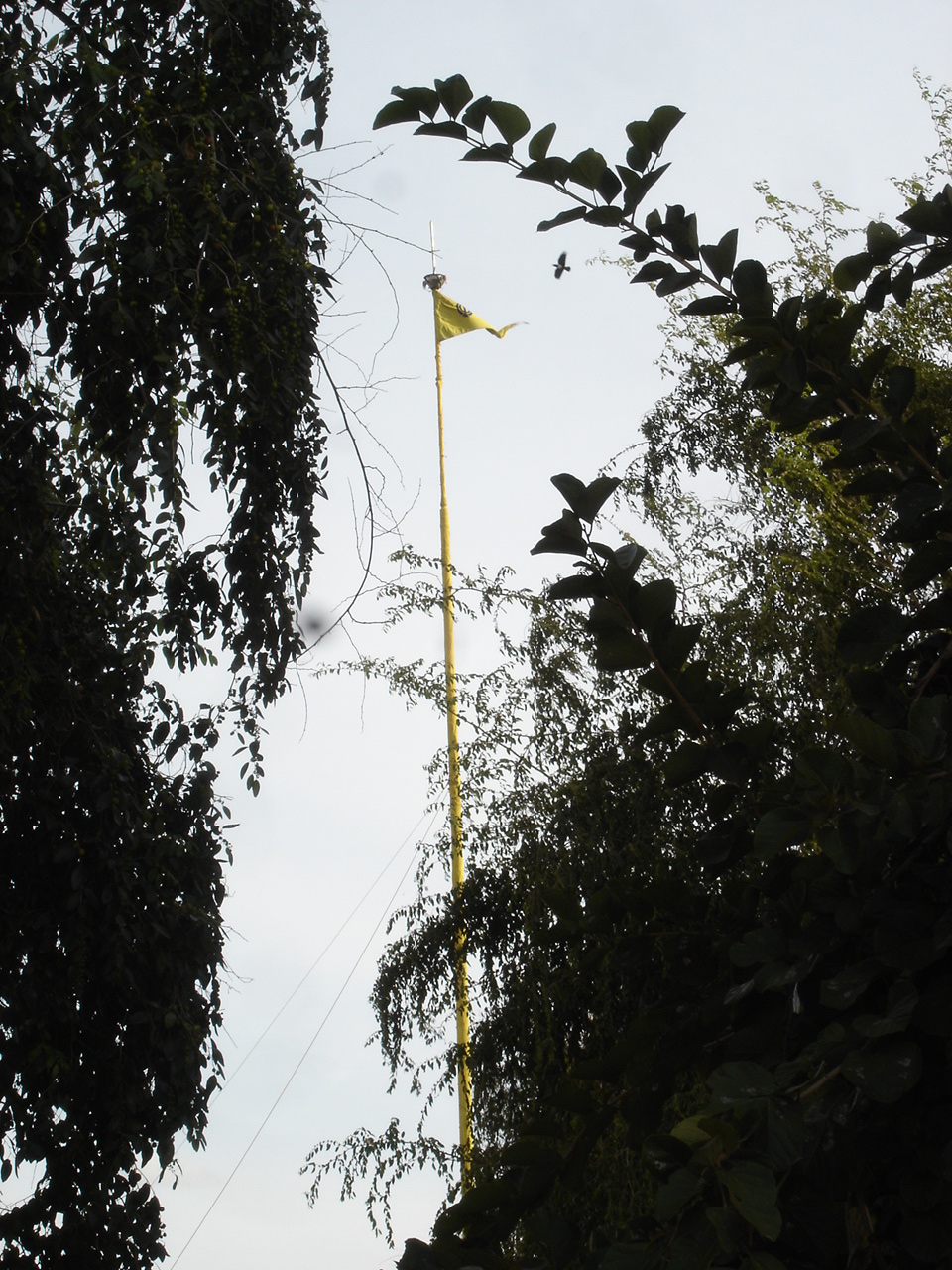 The big Nishan Sahib at Makindu Sahib. (circa 2007)
