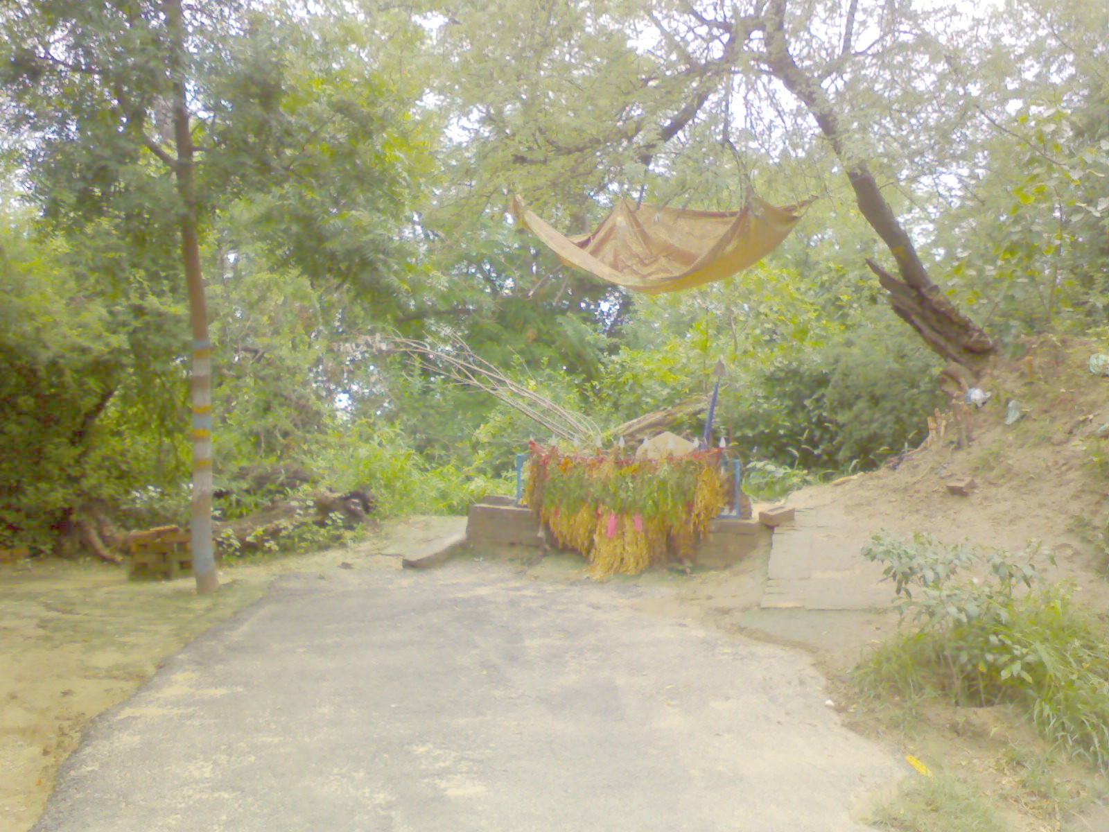 Yaadgaarjungle.JPG