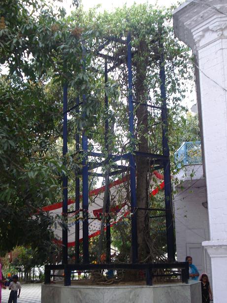 Harianvailan.JPG
