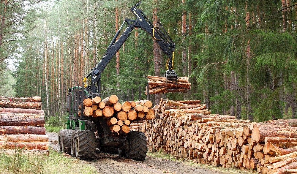 Tarkhan (Forestry)