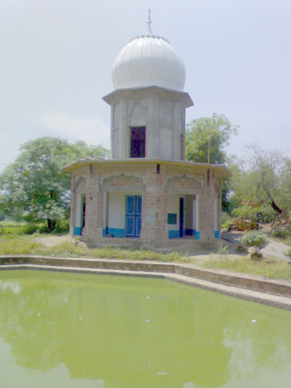 Saroveryadgarlukhijungle.JPG