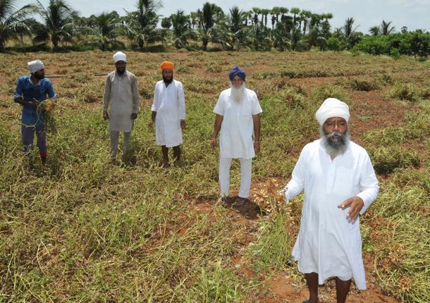 File:Sikh farmers in Tamil Nadu 2.jpg