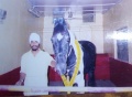 Horse Guru Gobind Singh Peedi