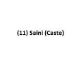 (11) Saini (Caste)