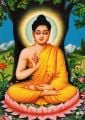 Buddha (Deity)