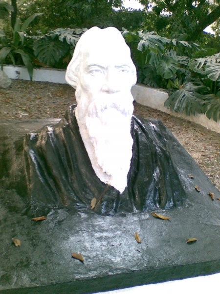 File:Bust of tagore at dr balbir singh's panchbati memorial.jpg