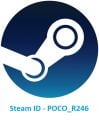 Steam ID - POCO R246