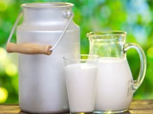 Milk (Dairy).jpg