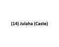 (14) Julaha (Caste)