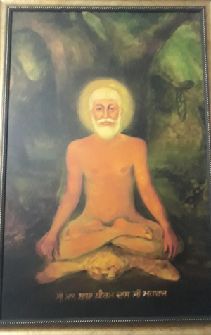 Baba Biram Das In Samadhi