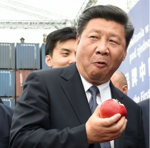 Super Xi Jinping (PM) 02.jpg