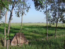 Luch green fields of village Aliwal, in Ludhiana District of Punjab, where in 1846, a war was fought against the Sikh Empire and British East India Company.jpg